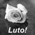 Mayara Rick Gui Biel Cristine's profile image