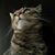 Jay Brustad's profile image