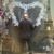 David Bonetto's profile image