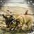 Deborah Jackman's profile image