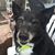 Nettie Harper's profile image