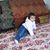 Yusuf Arslan's profile image
