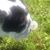 Jeanne Connolley's profile image