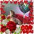 Di Altschul's profile image