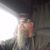 Michael Dennis Sullivan's profile image