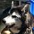 Jay Braun's profile image