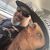 Ray Surprenant's profile image