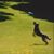 Gary Fleming's profile image
