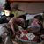 Tina Pacheco Leocadio's profile image