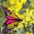 Salina Marie Stevens Moyer's profile image