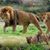 Janette R. Gutierrez's profile image