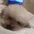 Tina Hart's profile image
