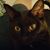 Nanette Gordon's profile image