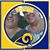 Linda Edwards Hawk's profile image