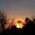 Cindy Stinnett's profile image