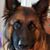 Portia Dodson Vaughn's profile image