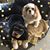 Sheila Robbins's profile image