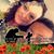 Beverley Fitchett's profile image