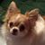 Leslee Poore''s profile image