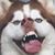 Lisa Renee's profile image