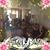 Tonesha Bruessard's profile image