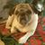 Linda Hooker's profile image