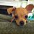 View Myra's profile image