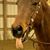 Kelly Mcnalley-kershner's profile image