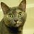 Clemmie Hooper's profile image