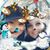 Sue Barsheff Nellis's profile image