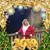 Shirley Scroggins's profile image