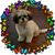 Deborah Duchesneau's profile image