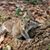 Margie Troyer's profile image