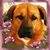 Symanthia R. Watson's profile image