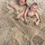 Tammy Wasden Butler's profile image