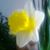 Jola Adams's profile image