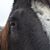 Julie Johnson Halvorson's profile image