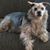 Patricia Pacheco's profile image