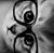Suzy Freeman's profile image