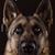 Larry Yingling's profile image