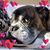 Kim Blanchard-Schnepel's profile image