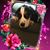 Veronica Klosiewski's profile image