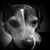 Kylene Davis's profile image