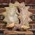 Carolyn Stohs Barbera's profile image