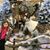 Lucy Foskett's profile image