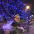 Wilfredo Amr Ruiz's profile image