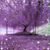 Dottie DuMoulin's profile image