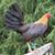 Jose Luis Escamilla Resendiz's profile image