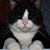 Tom Miller's profile image