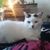Lori Pritzl Banach's profile image